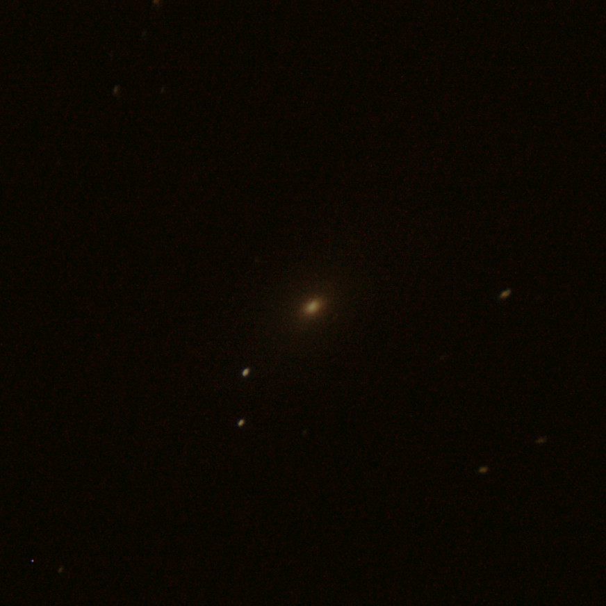 M81-gimp