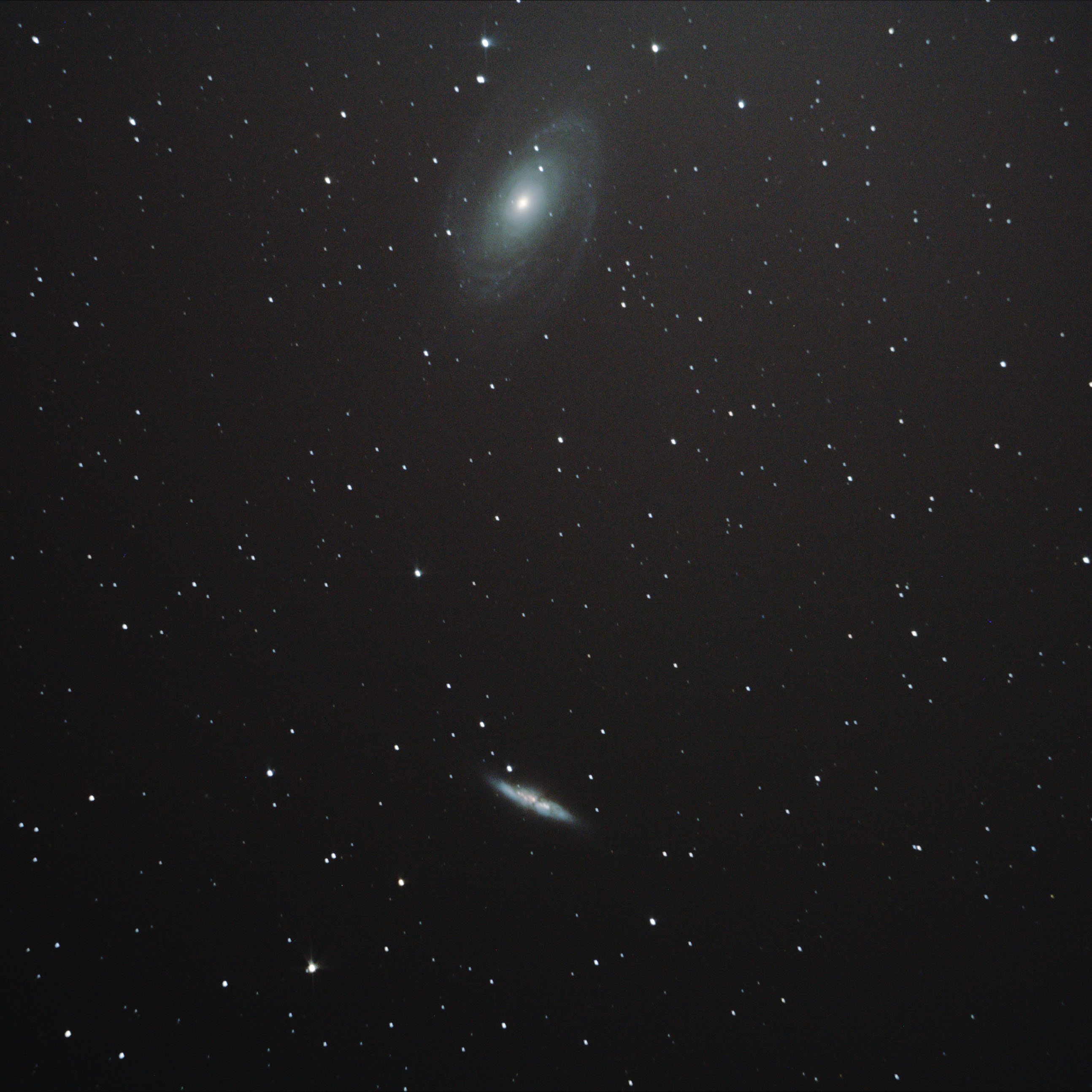 M81+M82